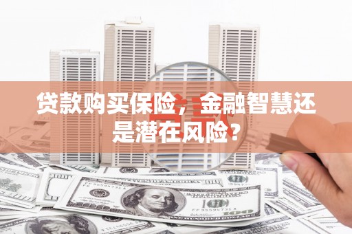 滦县贷款购买保险，金融智慧还是潜在风险？