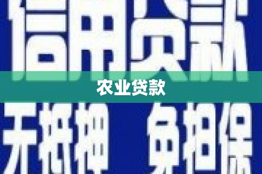 代县农业贷款