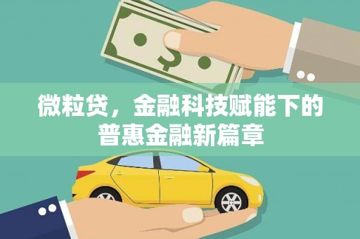 濮阳微粒贷，金融科技赋能下的普惠金融新篇章