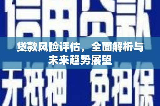 巨野贷款风险评估，全面解析与未来趋势展望