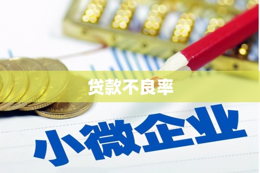 南庄贷款不良率