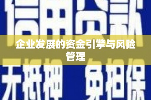 赫山企业发展的资金引擎与风险管理