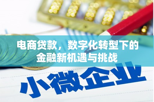 江源电商贷款，数字化转型下的金融新机遇与挑战