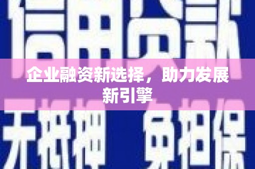 察布查尔锡伯企业融资新选择，助力发展新引擎