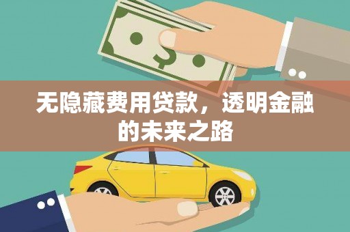 岱山无隐藏费用贷款，透明金融的未来之路