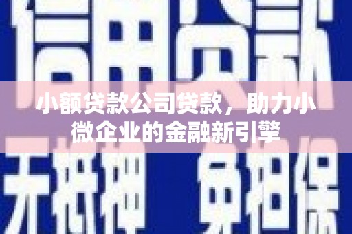 舞钢小额贷款公司贷款，助力小微企业的金融新引擎