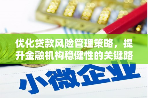 六甲优化贷款风险管理策略，提升金融机构稳健性的关键路径