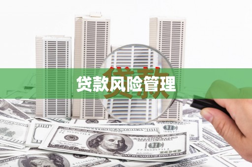 顺河贷款风险管理