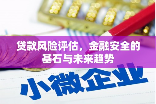 丰滨贷款风险评估，金融安全的基石与未来趋势