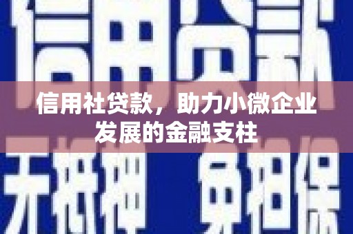合山信用社贷款，助力小微企业发展的金融支柱