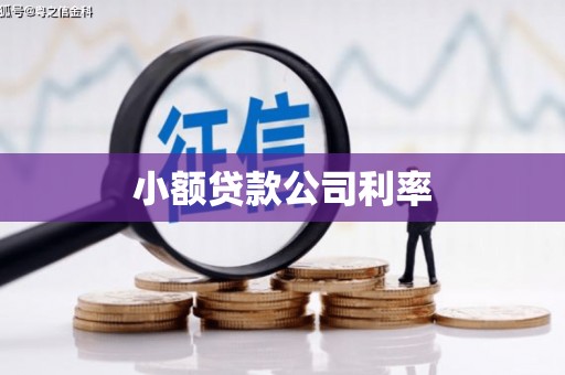旬阳小额贷款公司利率