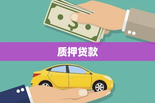 萨嘎质押贷款