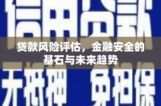 开平贷款风险评估，金融安全的基石与未来趋势
