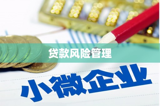 金阳贷款风险管理