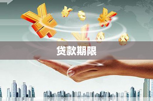 东营贷款期限