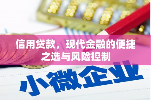 惠济信用贷款，现代金融的便捷之选与风险控制
