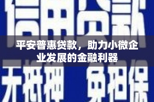 安仁平安普惠贷款，助力小微企业发展的金融利器