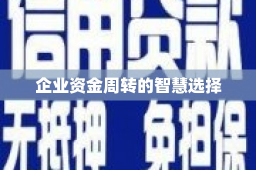 陆丰企业资金周转的智慧选择
