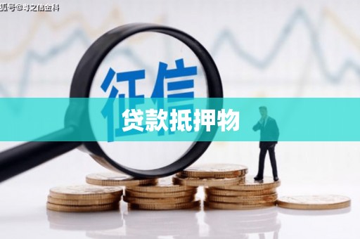 淮上贷款抵押物