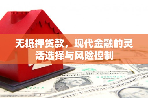 阜康无抵押贷款，现代金融的灵活选择与风险控制