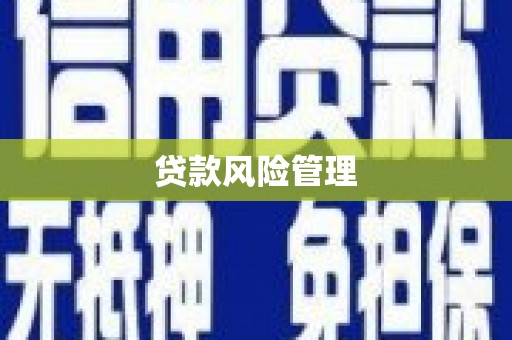 伊宁贷款风险管理