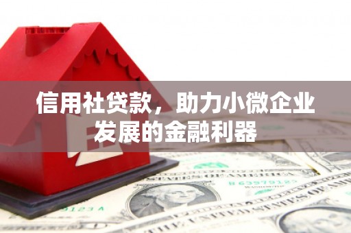 苍南信用社贷款，助力小微企业发展的金融利器