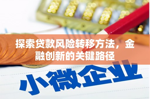 金湖探索贷款风险转移方法，金融创新的关键路径