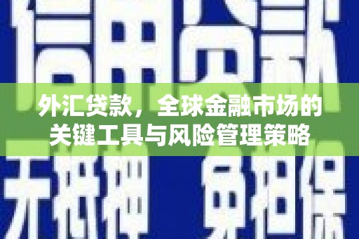 杂多外汇贷款，全球金融市场的关键工具与风险管理策略