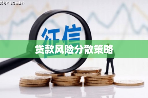 芦淞贷款风险分散策略