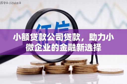 沈河小额贷款公司贷款，助力小微企业的金融新选择