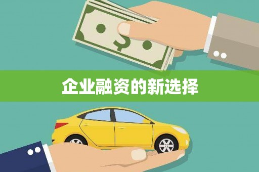 华龙企业融资的新选择