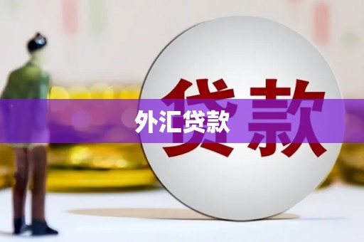 烈山外汇贷款