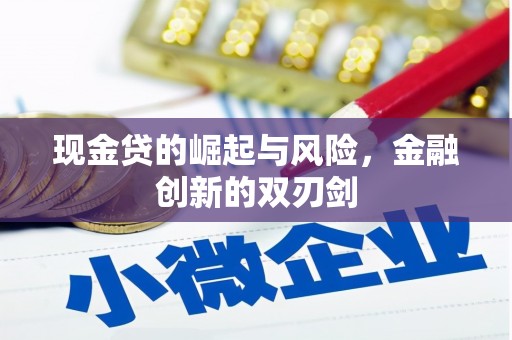 远安现金贷的崛起与风险，金融创新的双刃剑