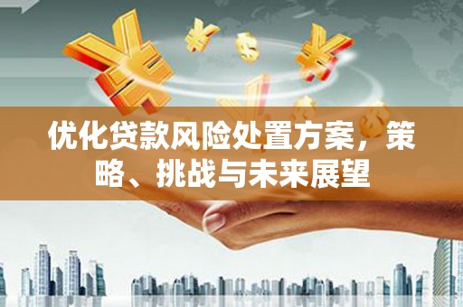 大甲优化贷款风险处置方案，策略、挑战与未来展望