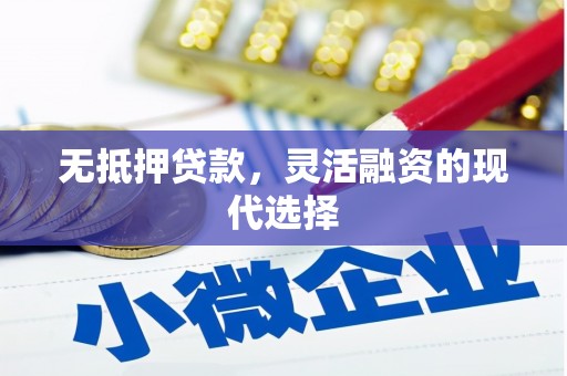 顺昌无抵押贷款，灵活融资的现代选择
