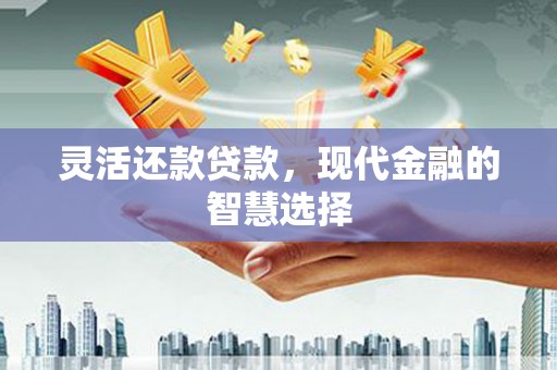 曲麻莱灵活还款贷款，现代金融的智慧选择
