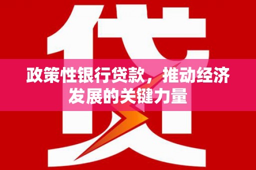 桃城政策性银行贷款，推动经济发展的关键力量