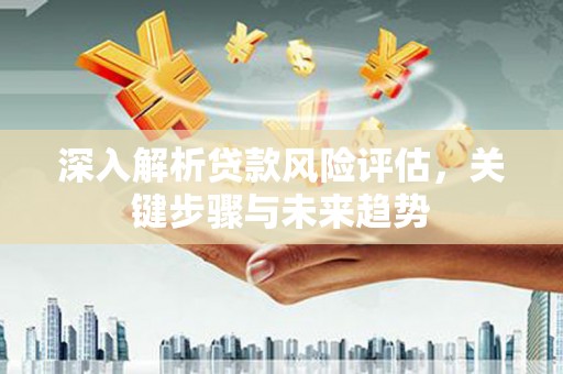 丰县深入解析贷款风险评估，关键步骤与未来趋势