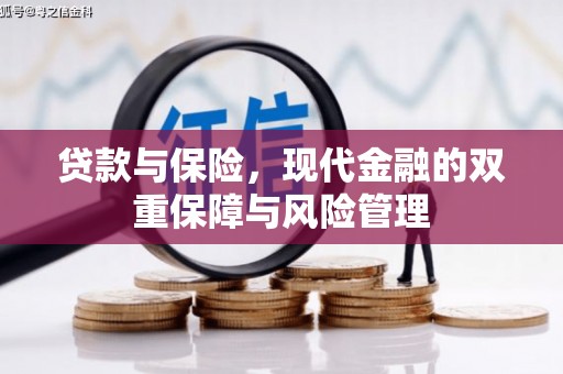 美姑贷款与保险，现代金融的双重保障与风险管理