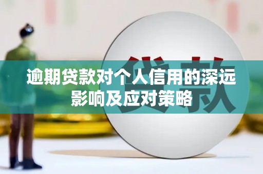 太康逾期贷款对个人信用的深远影响及应对策略