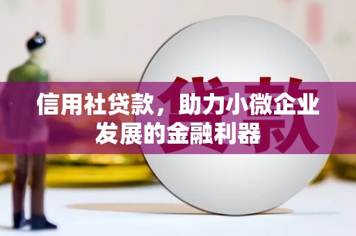 褒忠信用社贷款，助力小微企业发展的金融利器