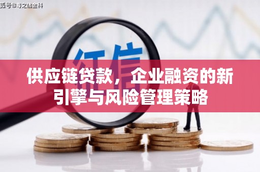 龟山供应链贷款，企业融资的新引擎与风险管理策略
