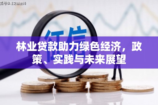 高埗林业贷款助力绿色经济，政策、实践与未来展望