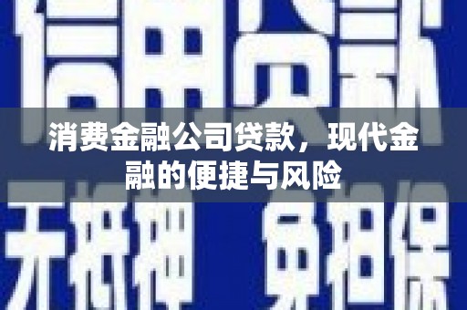 代县消费金融公司贷款，现代金融的便捷与风险