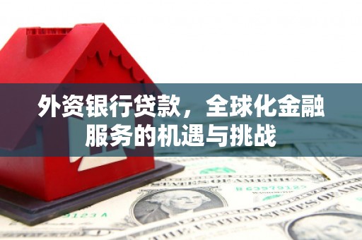 芦淞外资银行贷款，全球化金融服务的机遇与挑战