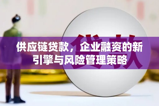 临西供应链贷款，企业融资的新引擎与风险管理策略