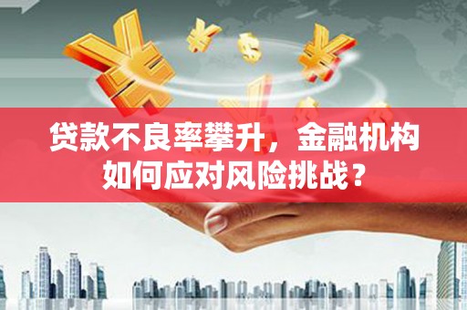 瑞穗贷款不良率攀升，金融机构如何应对风险挑战？