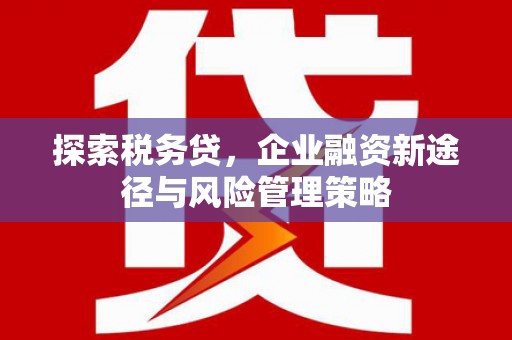 观塘探索税务贷，企业融资新途径与风险管理策略