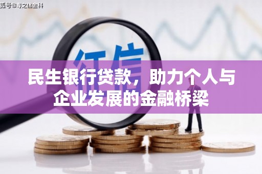 甘井子民生银行贷款，助力个人与企业发展的金融桥梁