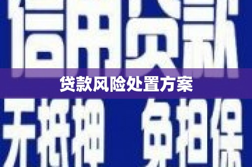 即墨贷款风险处置方案